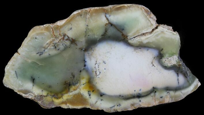 Polished Newman Opal Slab - Western Australia #65493